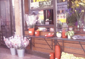 flower shop