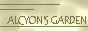 alcyon