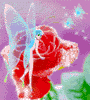 rose.gif