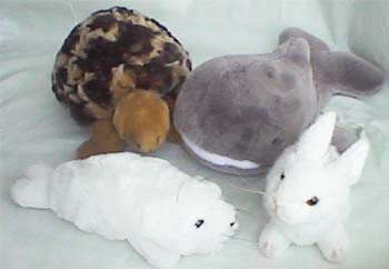 �ե�󥹤Τ̤������