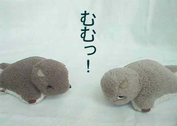 �Фä���в�