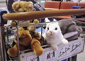 �ض��Υ����Ȥ˾��