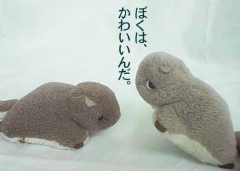 ��ĥ����