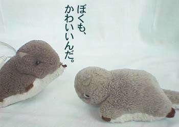 �餱������