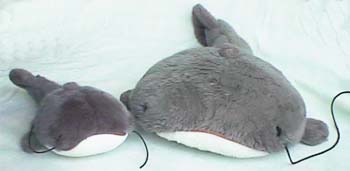 �Ǥ����ΤȤ���������