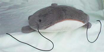 �Ǥ����ʤޤ�