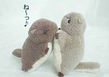 ���������ǧ