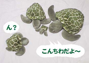 �����꤫��