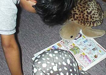 �����ٶ�