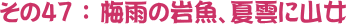 47@~J̊⋛Aĉ_ɎR
