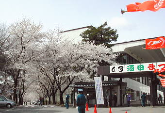 春の上山競馬場