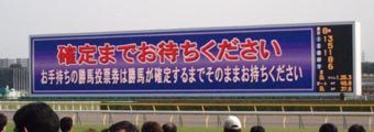 タ〜フビジョン