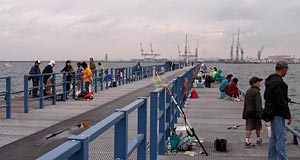 釣り桟橋