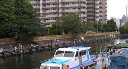 月島川
