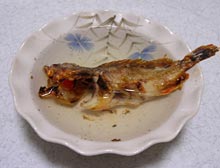 カサゴ酒