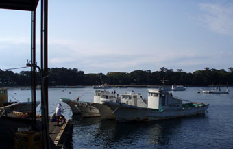 戸田港