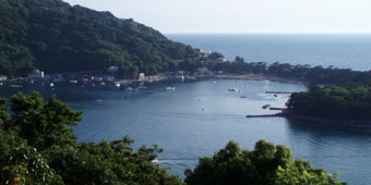 戸田湾