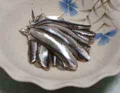 カタクチイワシの刺身