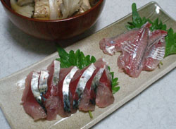 サバとアジの刺身