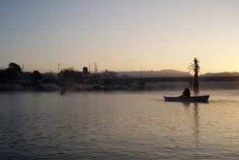 朝の高滝湖
