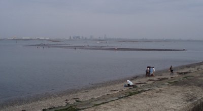 干潟の様子