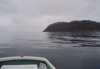 雨の朝の大島沖