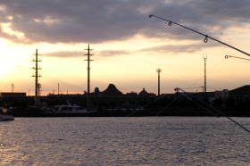 夕方の浦安港