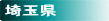 埼玉県の温泉