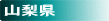 山梨県の温泉