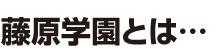 藤原学園とは