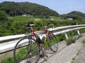 画像4
