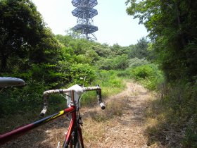画像9