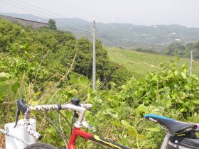 画像18