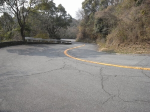 画像7