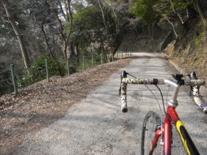 画像9