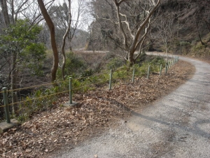 画像10