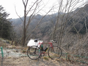 画像14