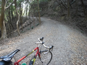 画像24