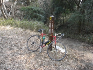 画像25
