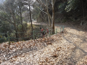 画像26