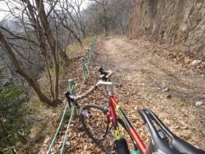 画像27