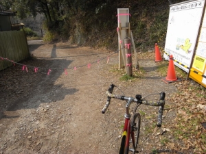 画像31