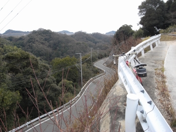 画像8