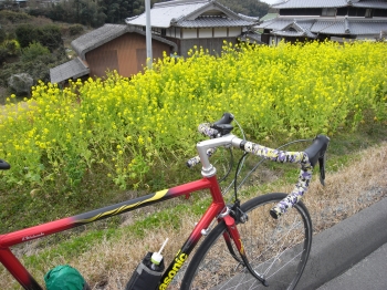 画像10
