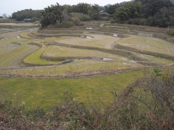 画像14