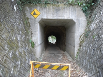 画像15