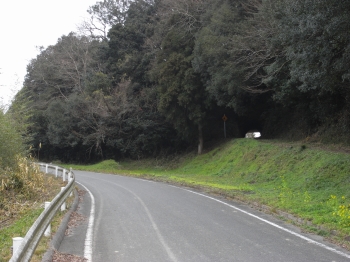 画像17