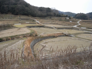 画像18
