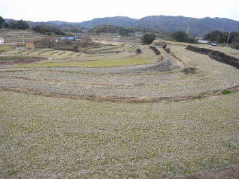 画像23