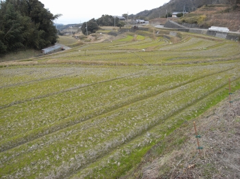 画像24
